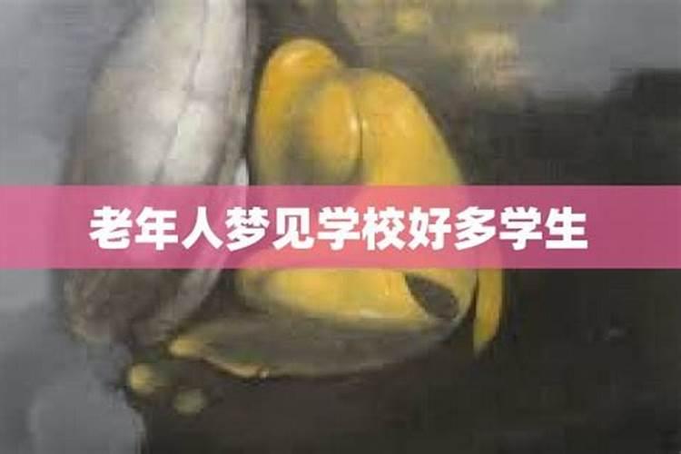 拆迁百姓房屋打一生肖
