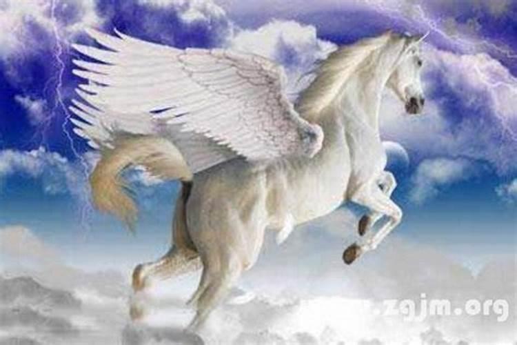 梦见遇见马在天上飞的预兆