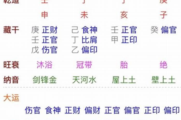 乙巳日详解