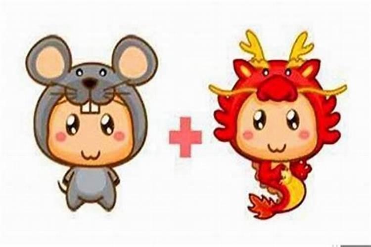 男鼠与女龙结婚好不好