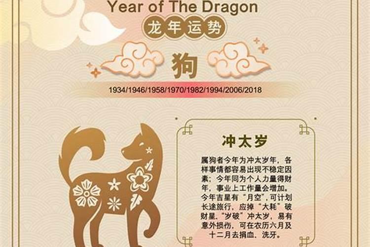 2025年什么生肖运气好