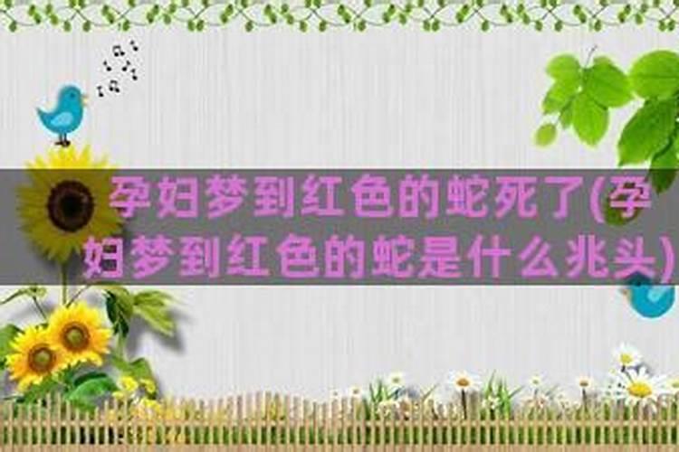 梦见蛇变成人是什么意思