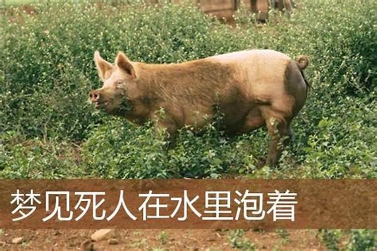 年柱亡神是什么意思
