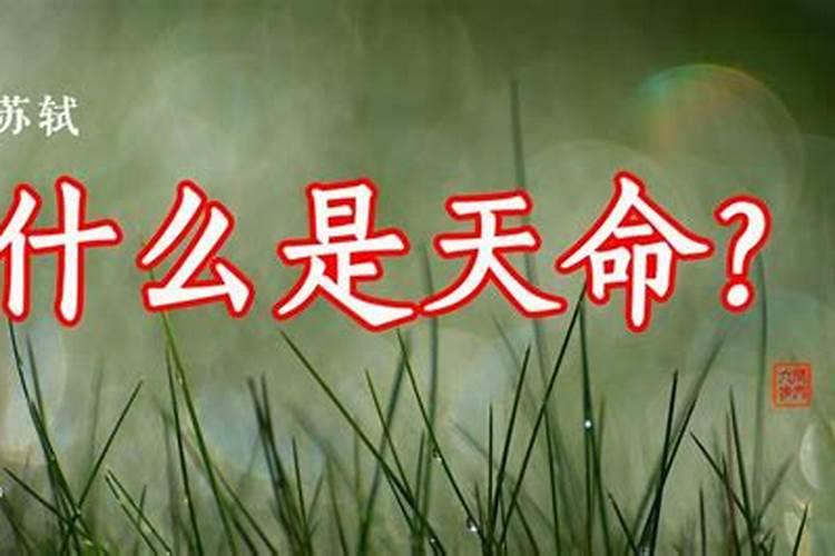 年柱亡神是什么意思