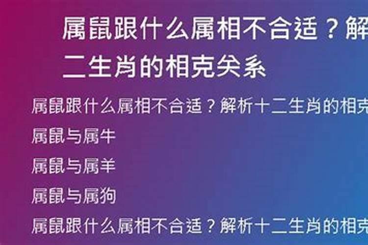 生肖兔戴什么辟邪好