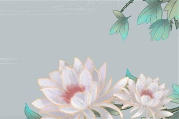 2025年86年属虎女运势怎么样？