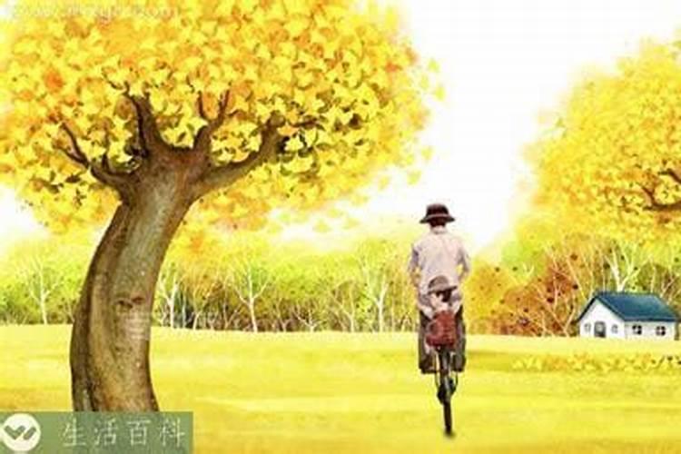 2025生肖鼠的运势大全 属鼠人2025年每月运势