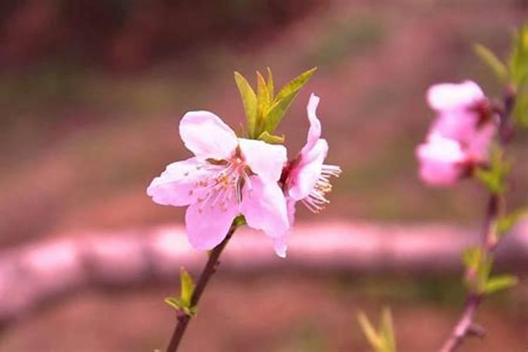 迅速斩断老公的桃花运 只需4招
