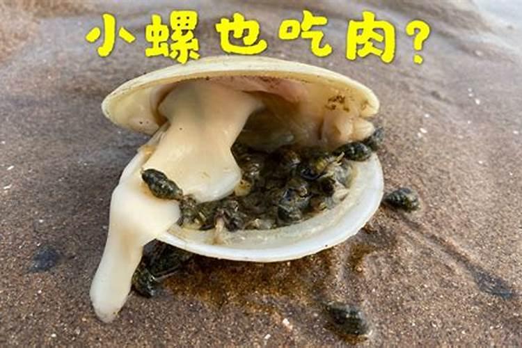 正月初二是财神生日吗