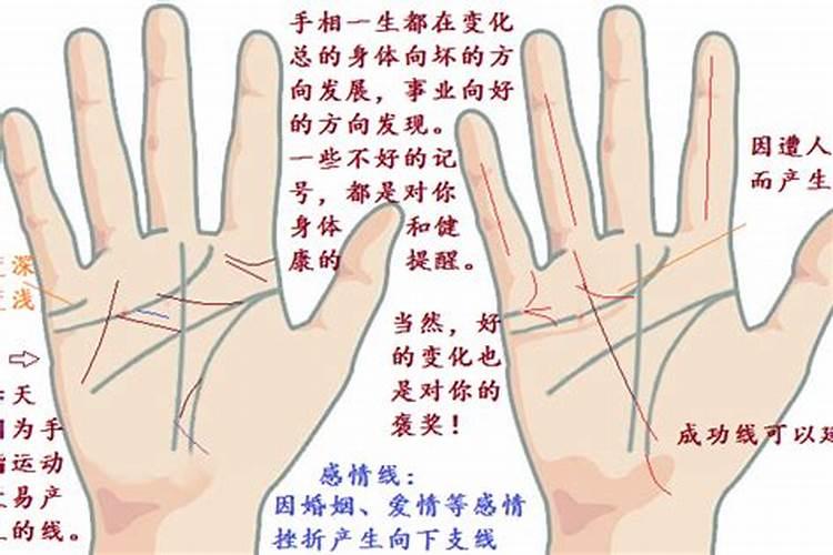 手相看儿女一生运势 如何从手相看儿女运势怎么样