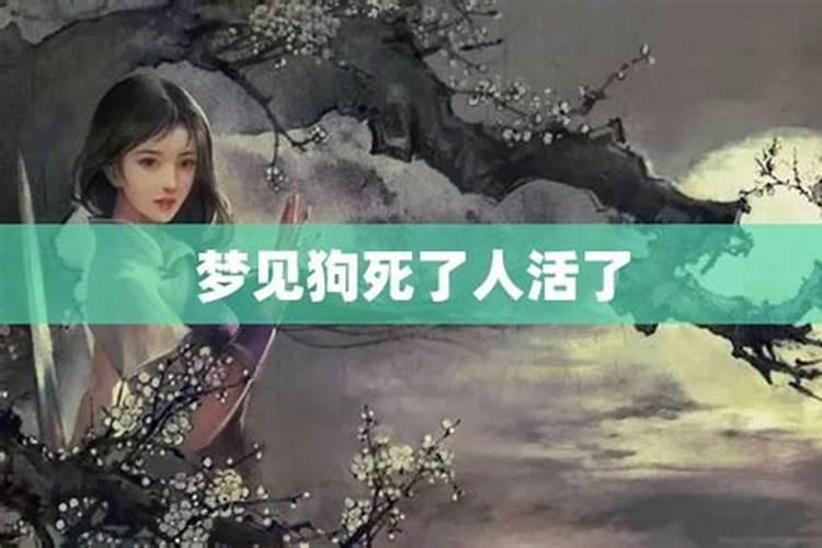 梦见狗死了又活的预兆