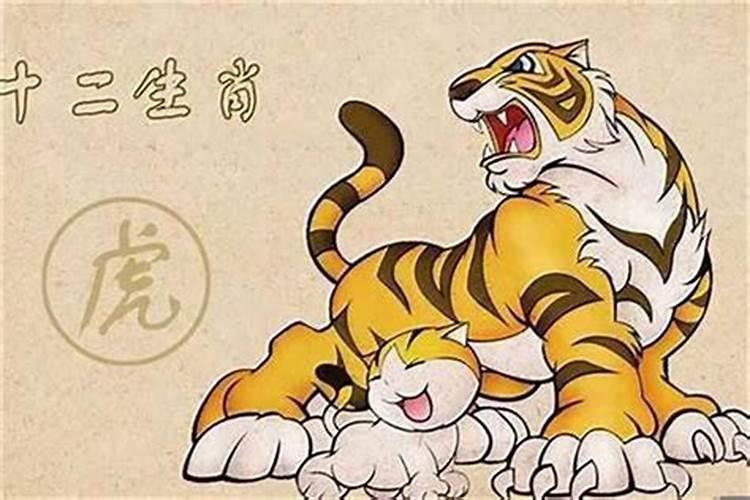 龙和虎相配吗