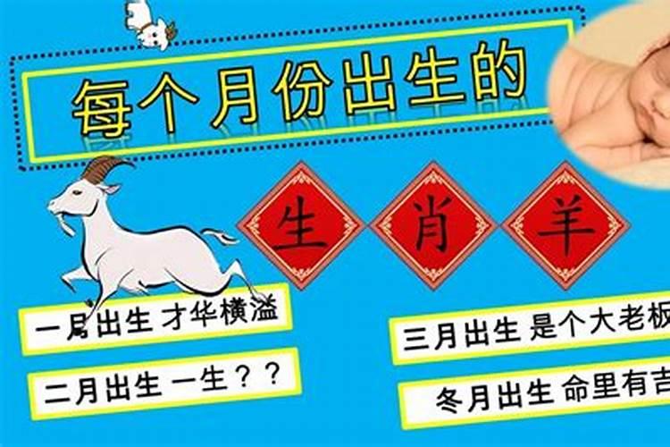 虎几月宝宝不好
