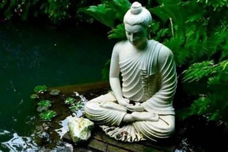 佛缘重的人必须渡情劫