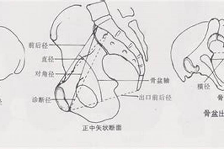 【觉悟传统文化《周易》(25)】——四柱﻿﻿八字