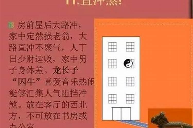 苦命兔75年中晚年