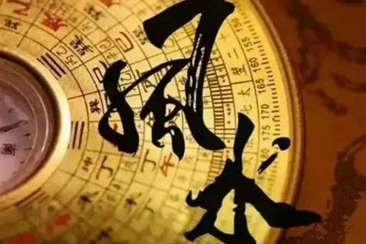 急求各位玄学高手解答!!梦到白虎侧卧在身边安静的睡着!