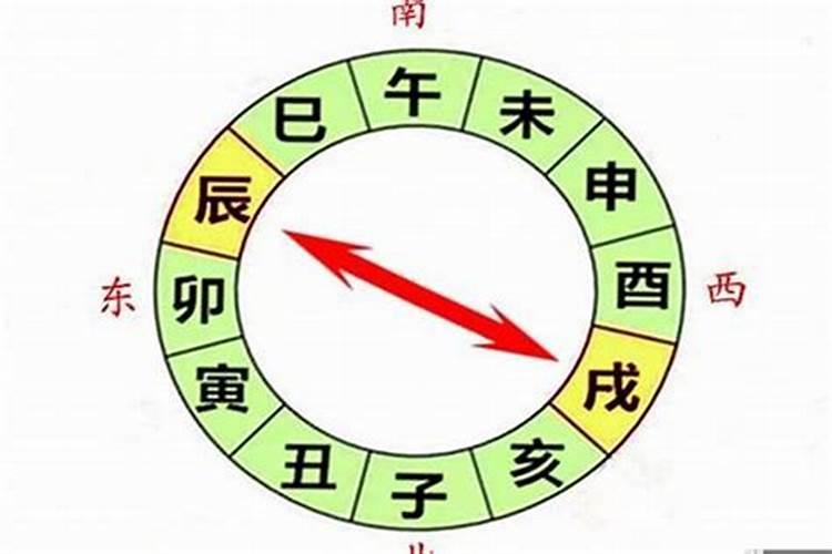 生肖虎2025年运势 属虎2025年运势及运程