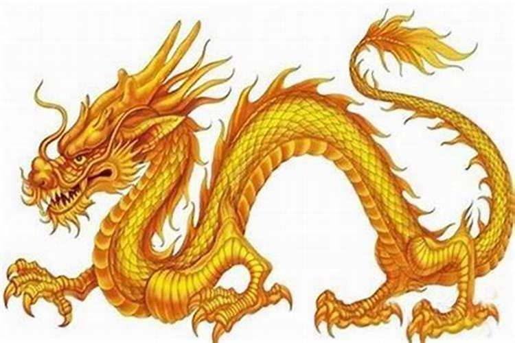 属龙未来三年运势大揭秘 属龙人未来三年运势怎么样