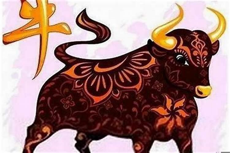 九四年八月二十八出生今年有姻缘吗？