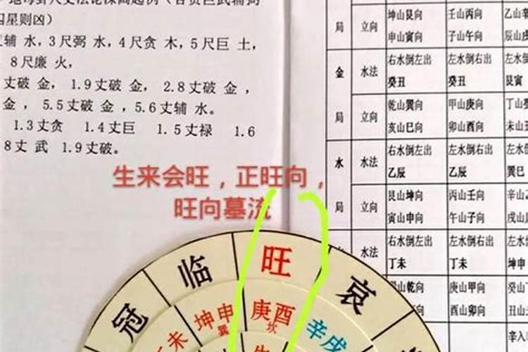 日柱论命 癸丑日元生在子月出生 幸福难求相知相伴