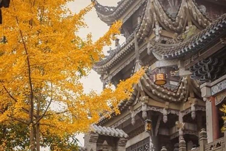 祭拜婴灵 给婴灵立神主牌 是要找神婆还是去什么庙里？求具体答案
