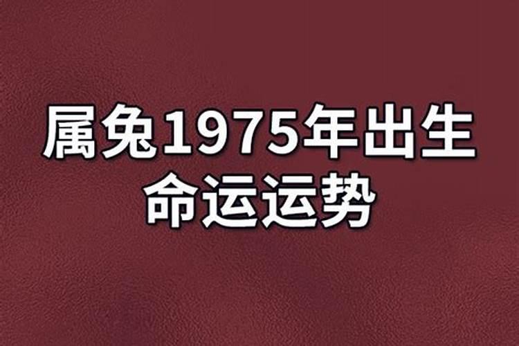 1975属兔2025年的运势及运程
