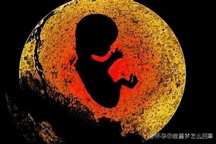 怎么查自己的大运流年