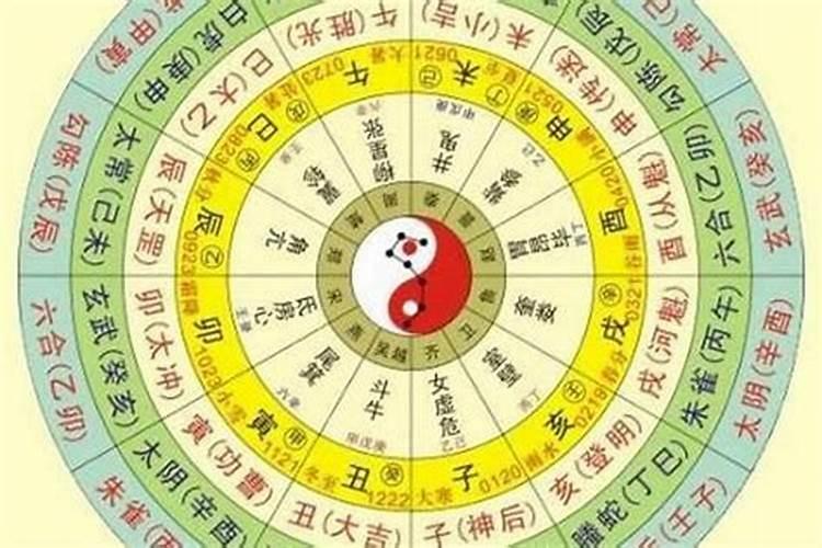 祖母什么意思