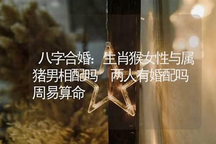 梦见过世的老人又活过来了的预兆