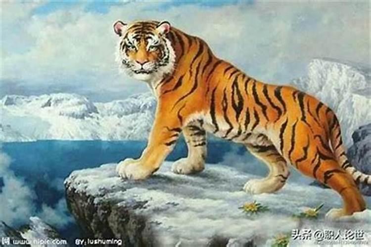 八字婚姻:属虎和属猴的合吗 可不可以结婚吗？