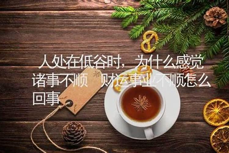 属鼠的佩戴什么可以转运