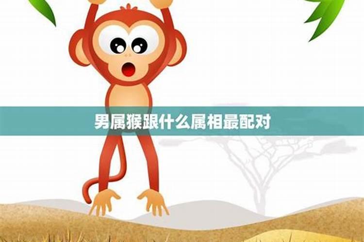 属猴男最佳婚配属相