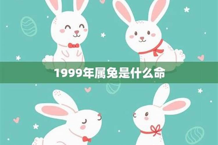 曾祖母是什么意思啊