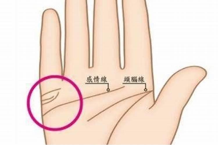 猴和羊属相合不合财运,做生意属猴的和属羊的合财吗