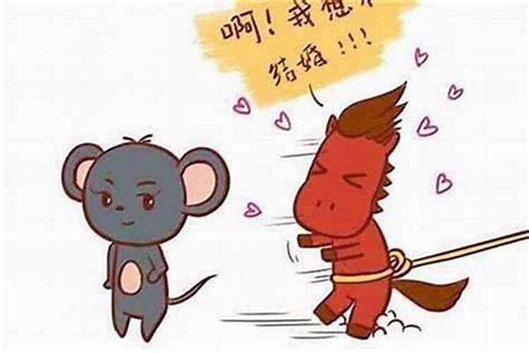 生辰八字配对查询,鸡和鼠