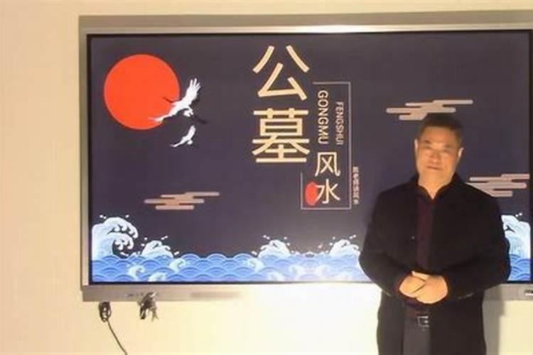 属鼠犯太岁的年份