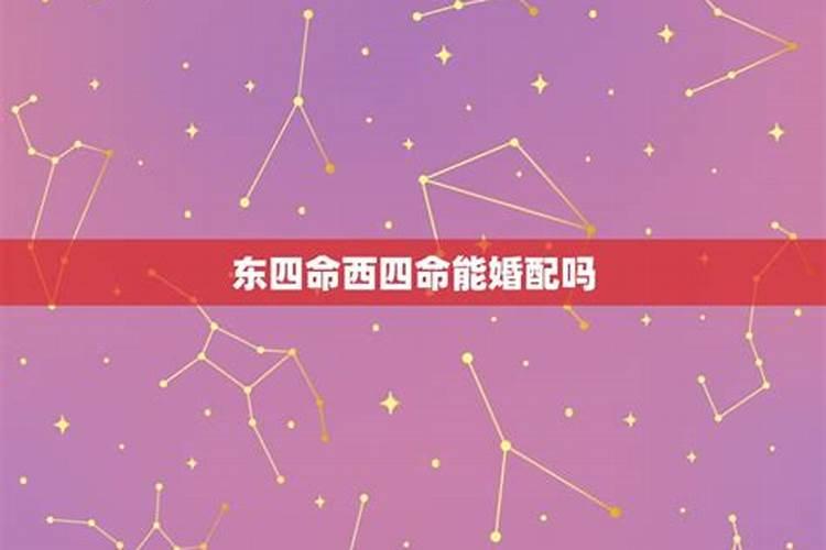 关于西四命和东四命合婚