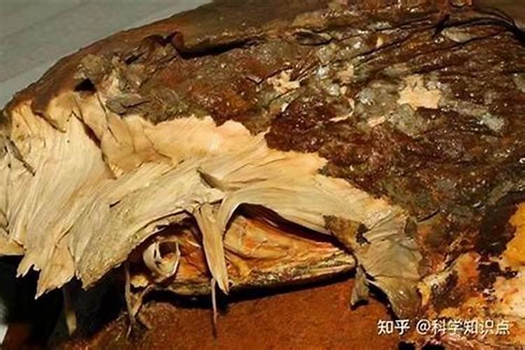 1972年属鼠何时走大运
