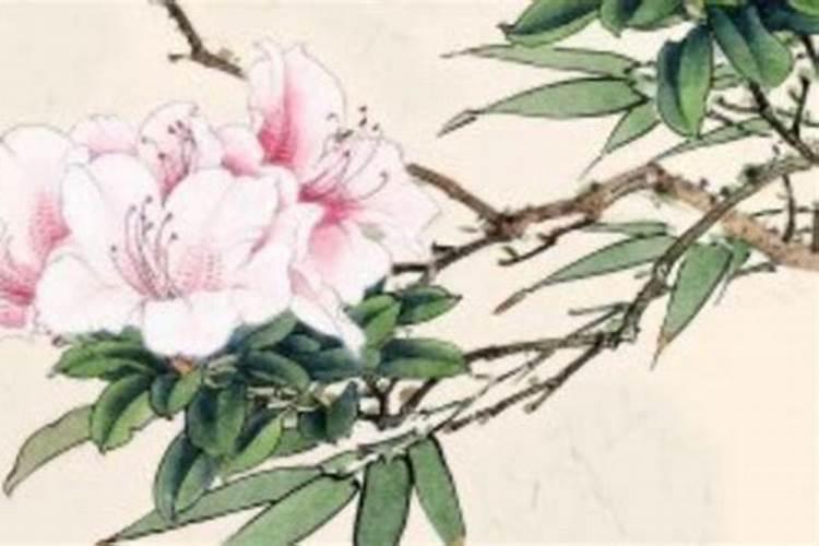 子丑合化土是什么意思？
