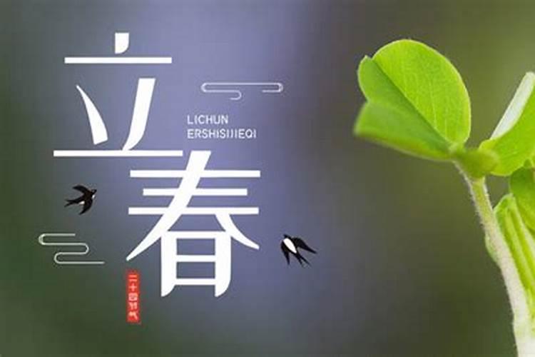 86属虎2025全年运势