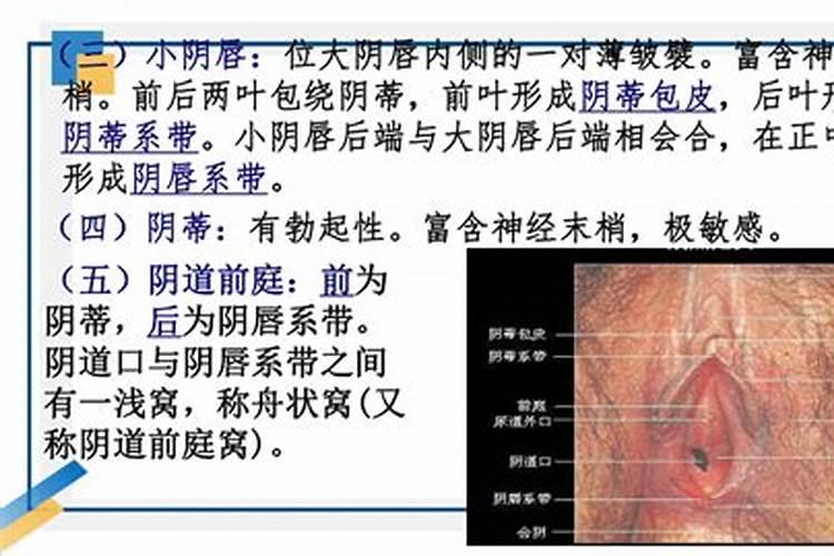 79年属羊42岁会遇上什么灾难 面对失业懊恼？