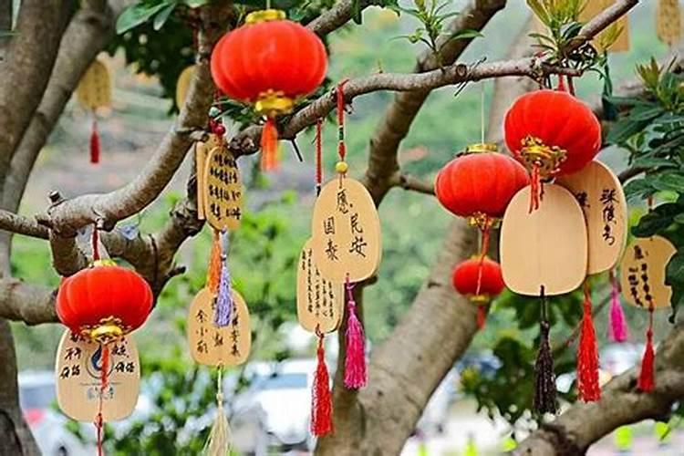 属兔生在几月最命苦