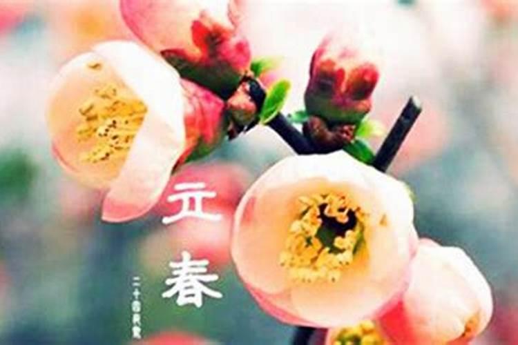 正月初一是什么节？
