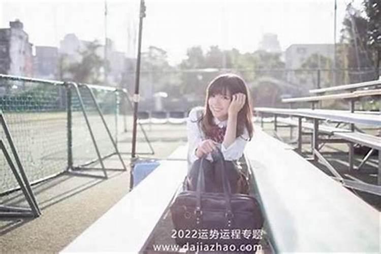 观察日记