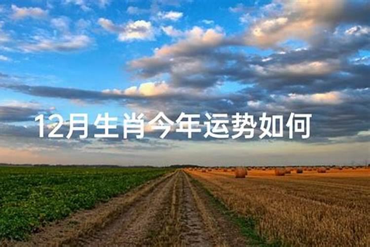 72年属鼠人退休时间是哪年