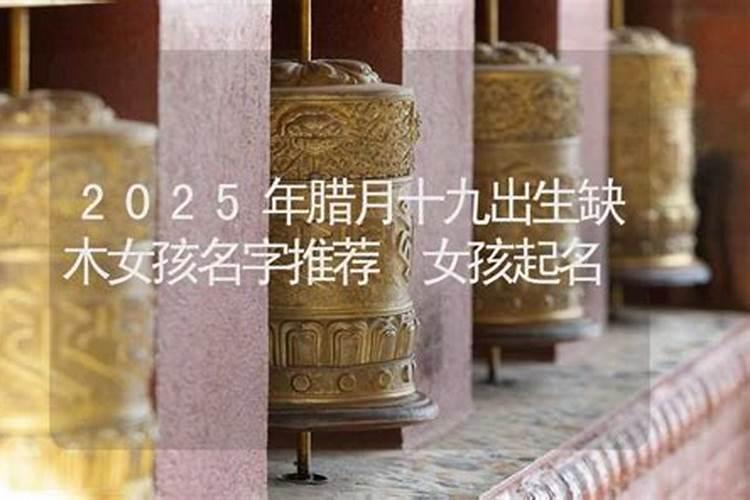 2013年腊月十九出生女孩中午12点40出生父姓刘母姓王怎么起名