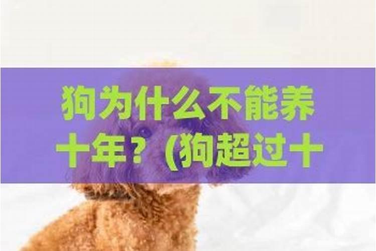 2025犯太岁生肖结婚好不好