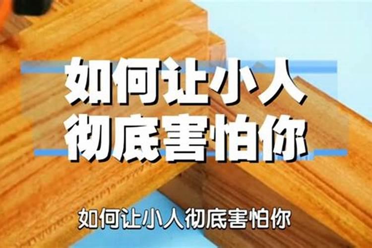 小人最怕老实人什么