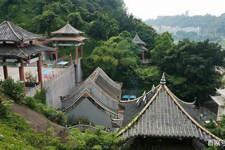70岁老人坐摩的死在司机背上,司机一动不敢动,为何死者家属获赞无数...